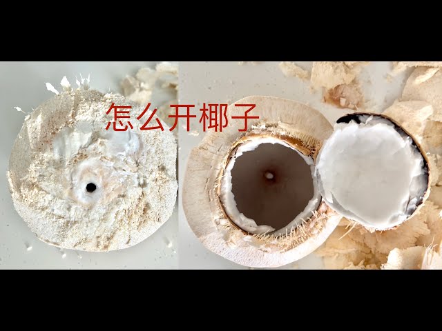 How to open a coconut|怎么开椰子#取椰肉#如何找到椰子上最软的位置