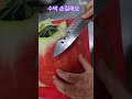#수박이여라