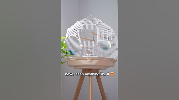 This is what a luxury bird cage looks like 👀