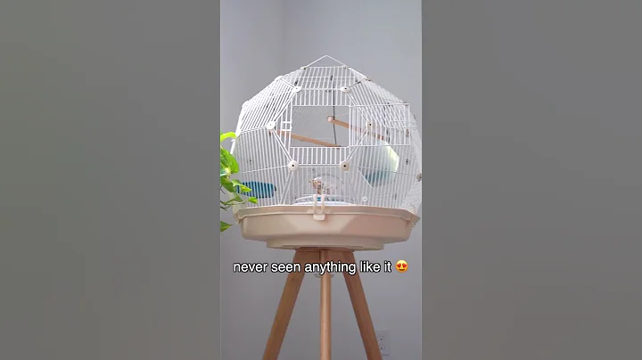 This is what a luxury bird cage looks like 👀 - DayDayNews