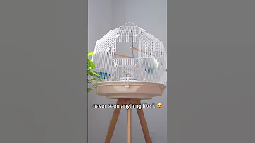 This is what a luxury bird cage looks like 👀