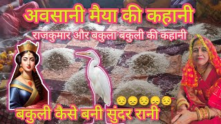अवसानी माता की कहानी ll राजकुमार और बकुला बकुली की कहानी #avsanmaiyakikahani