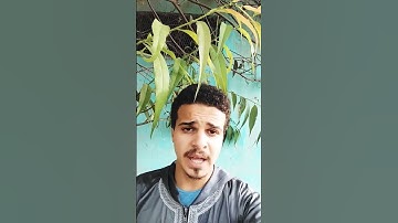 إنا أعطيناك الكوثر || القارئ أحمد بن عبد العزيز .