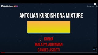The Surprising Myheritage Results Of An Anatolian Kurd From 🇹🇷 Konya Resimi