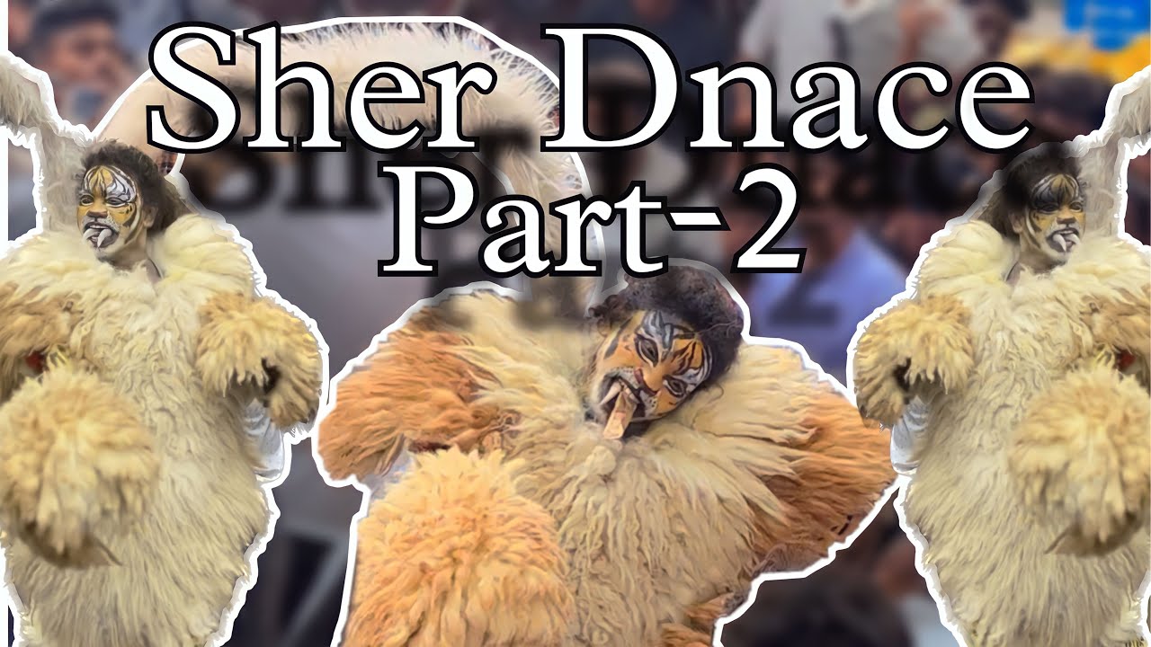 #Vlog32 Raipur King Ka Sher Dance Part-2 ( Ft . Lucky bhai )