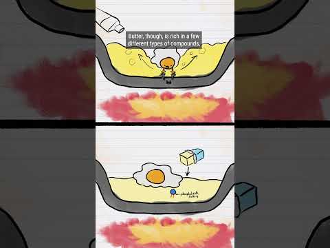 Butter vs. Oil: