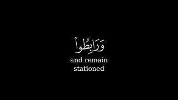يَا أَيُّهَا الَّذِينَ آمَنُوا ] كروما شاشة سوداء قرآن - سورة آل عمران | الشيخ د. ماهر المعيقلي
