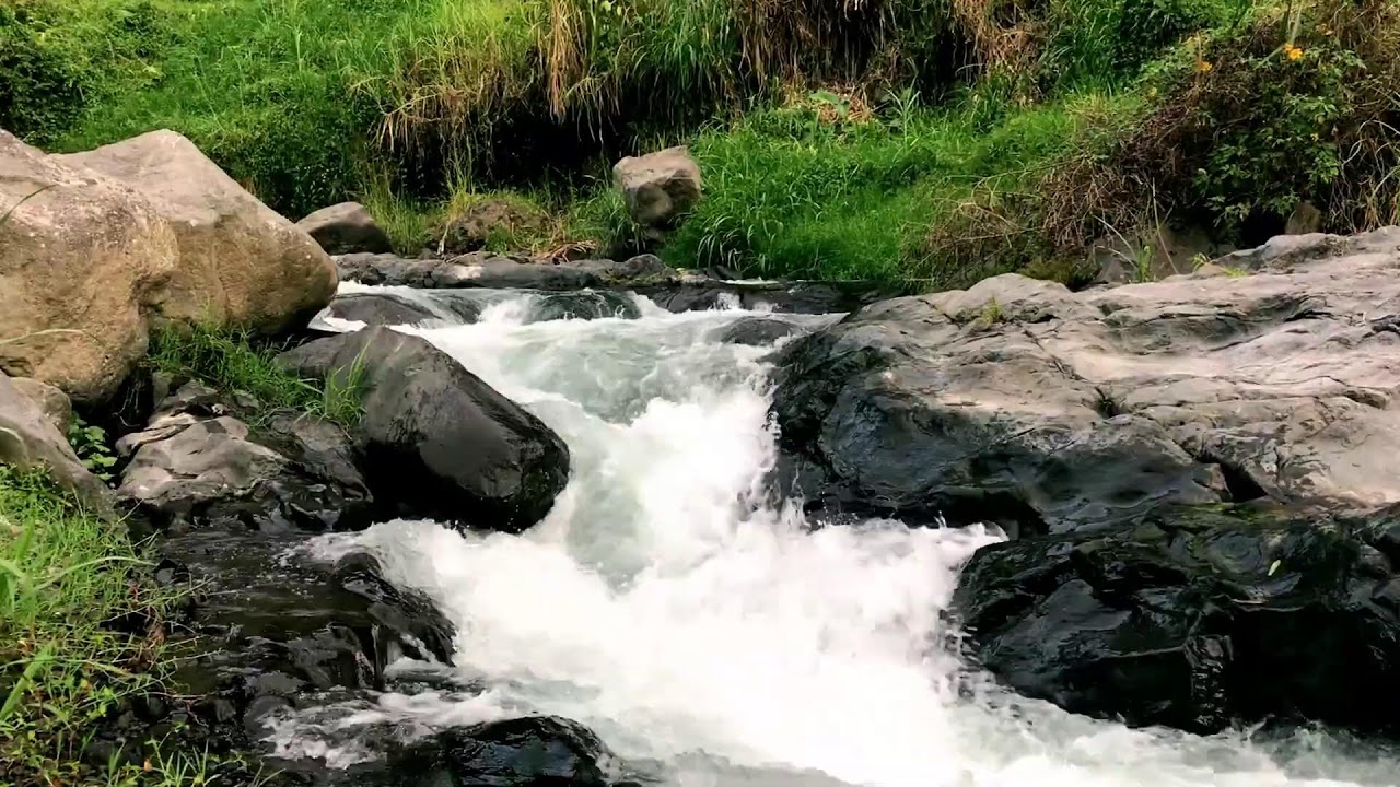 Gentle Green Stream Flow Ambience | For Emotional Balance & Meditation
