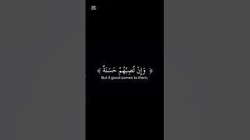 سورة النساء _ الآية 77 _ تلاوة رائعة _ ❤️📖🤲