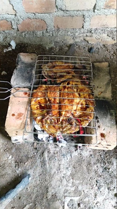 Bakar ikan gurame besar sekali satu panggangan full