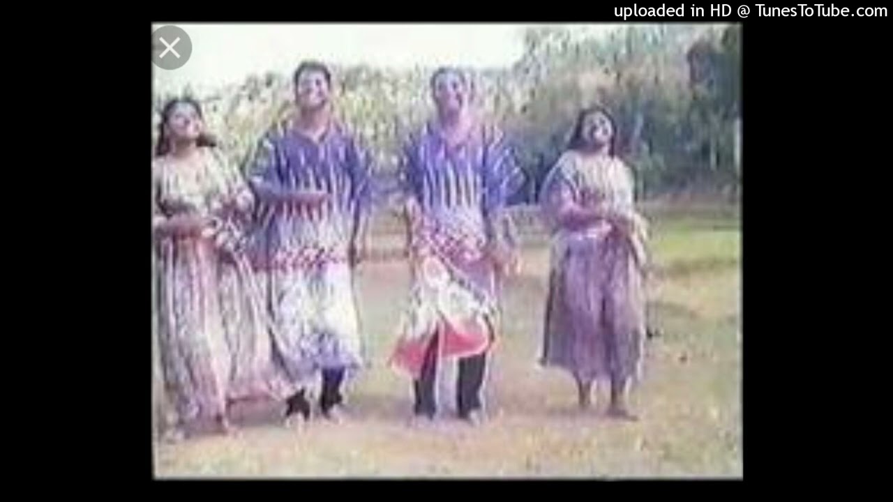 SOLO MIANADAHY - ZANAKA  PIOSIKA