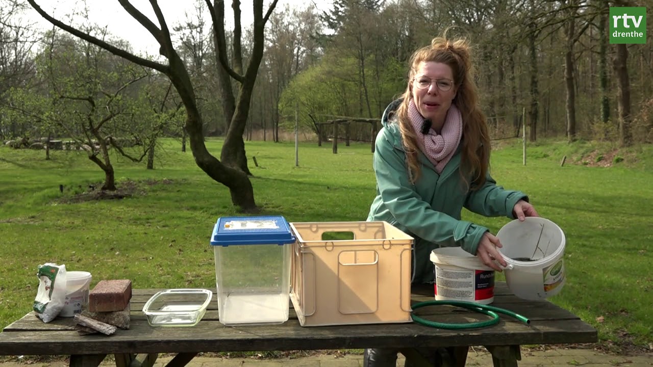 ROEG! Junior | Op pad met IVN: verzorging van kikkerdril