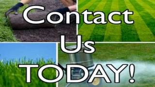 Miami Lawn Care Service and Landscaping Reviews