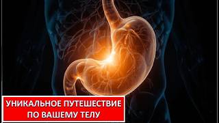 УНИКАЛЬНОЕ ПУТЕШЕСТВИЕ ПО ВАШЕМУ ТЕЛУ