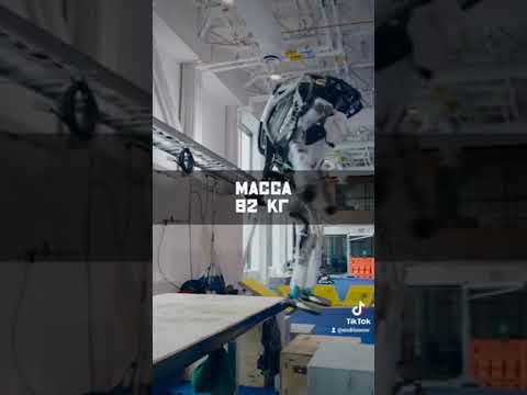 Восстание машин близко