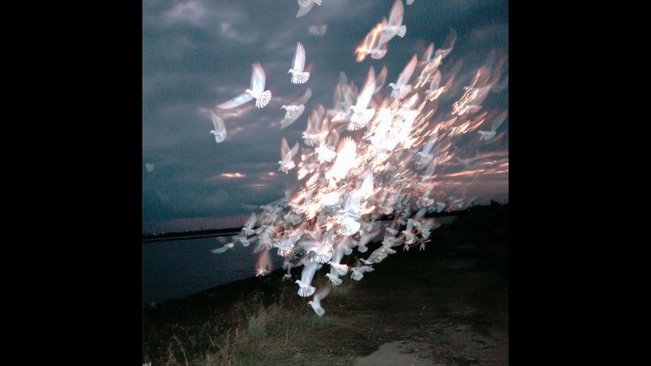 [free] tana + untiljapan type beat - 