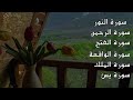 سورة الواقعة سورة الرحمن سورة الملك سورة الفتح سورة النور سورة يس 