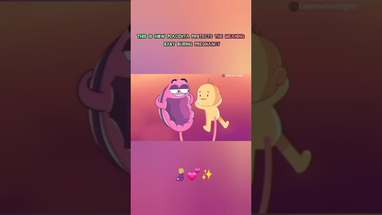 How is Placenta Protects the Meaning Baby During pregnancy 🤰🏼💕✨ Please subscribe pannikonga frnds ☺️