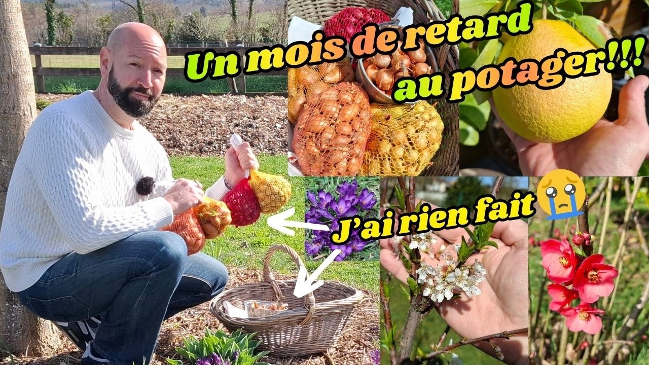 Un mois de retard au potager!