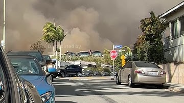 QAUTOHeadlineNR-SOT Oct 27 16:42:09 IST 2025 Auto-Bilbies move home to protect populations in Austra