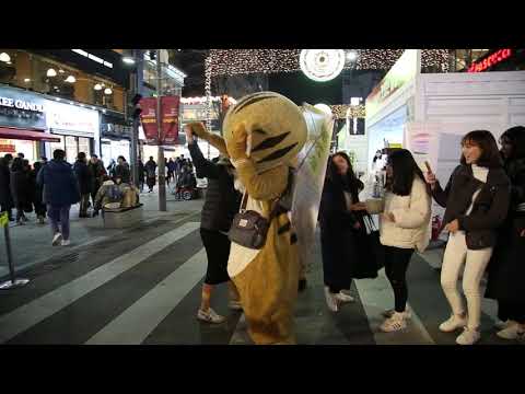 JHKTV] 신촌 명물고양이놀고보자 shin chon  special <strong>cat</strong> Let&amp;#39;s <strong>play</strong>.