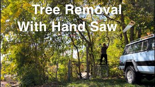 Tree Removal With Handsaw At Arby’s