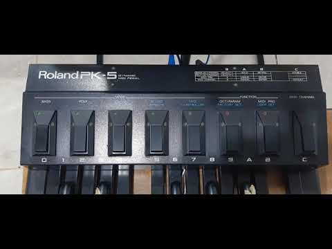 マ*ド様 ROLAND PK-5 Dynamic MIDI Pedal Roland PK5, Dynamic MIDI Pedal | zZounds
