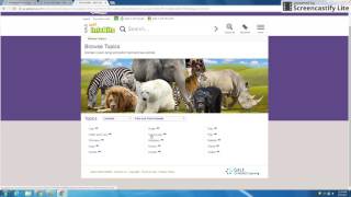 Kids Infobits