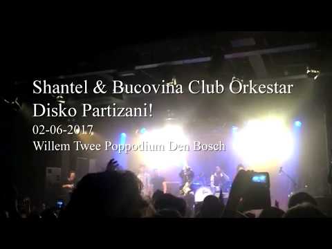 Shantel & Bucovina