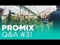 How often should i fertilize my promix