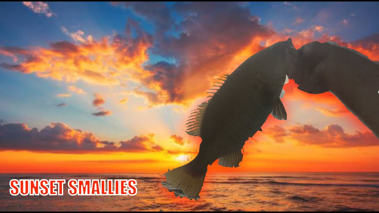 SUNSET SMALLIES | Summer Smallmouth Bass River Fishing in Nebraska