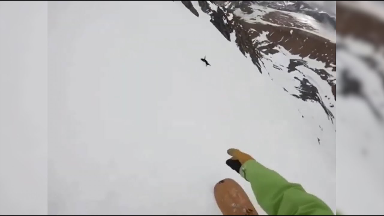 Dog Falls And Rolls Downhill