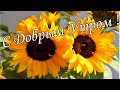 С ДОБРЫМ УТРОМ ! 🌼Желаю Самого Доброго Солнечного Утра!🌼  Шикарная Музыкальная открытка 🌼