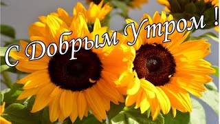 С ДОБРЫМ УТРОМ ! 🌼Желаю Самого Доброго Солнечного Утра!🌼  Шикарная Музыкальная открытка 🌼