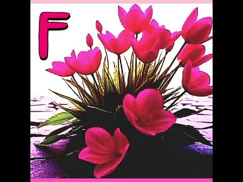 FLOETTE - ^BLOSSOM RIOT^ (개화의 폭동) Full Version. shorts