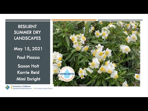 ვიდეო: ბოსტნეულისა და მწვანილის ინტეგრირება Xeriscape-ის ბაღში - მებაღეობის ცოდნა