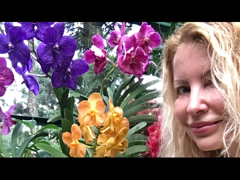Amazing Orchid garden in Singapore with Adeyto run through
