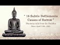 Highlight en  16 subtle defilements  causes of sorrow