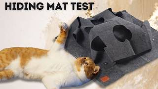 Cat Play Mat Test - Do cats like to hide there?