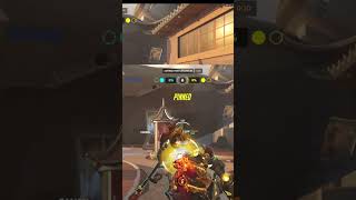 All Aboard The Rein Express