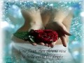 Une Fleur Rien Qu Une Rose Alain Delorme Une Fleur Rien Qu Une Rose Alain Delorme