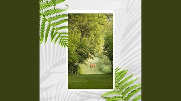 Sublime Backdrops for Ice Treatments