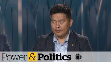 Diaspora groups are calling for public inquiry into foreign interference