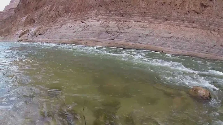 Rainbow Trout Fishing in the Grand Canyon