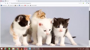 How to Use HTML Hyperlink and Image Tags for website - Hindi/Urdu