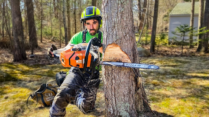 HOW TO AIM A TREE | Tree Felling Tutorial