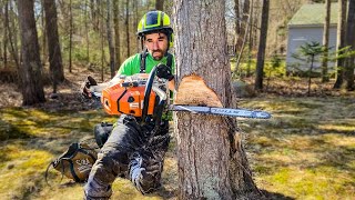 HOW TO AIM A TREE | Tree Felling Tutorial by Top Branch 403,203 views 1 year ago 3 minutes, 31 seconds