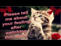 Funny Video Minion Music Dance Dawin Minions Dance Remix 