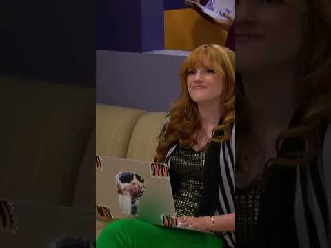 Scott & Olivia Bailey's Shake It Up Show