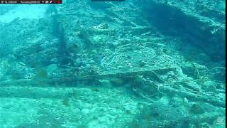 spotted scorpionfish 16 6 4a 9;36 excerpt